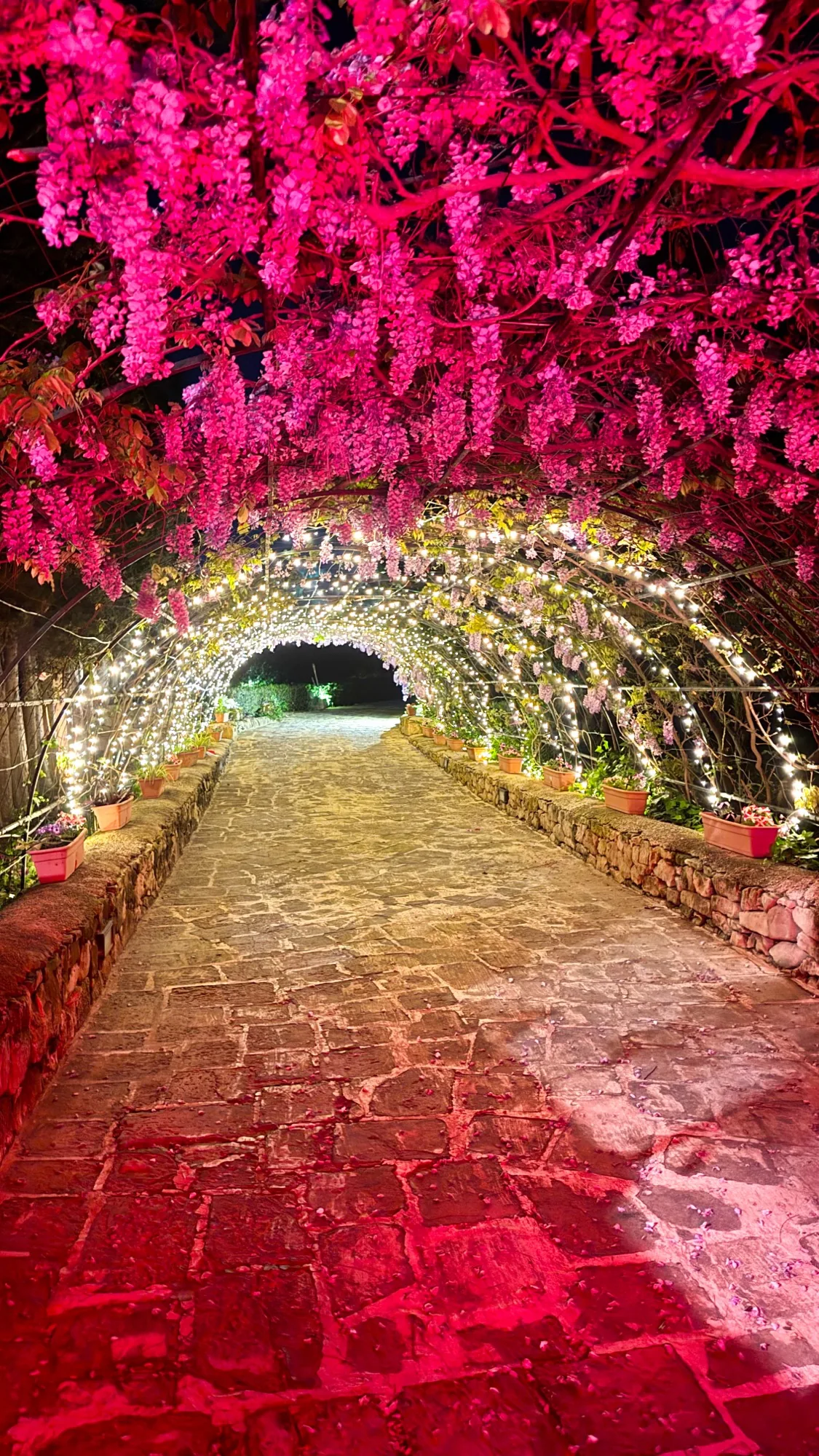 Rose arch entrance at night, Nine Angels Villa wedding venue, Madliena Malta